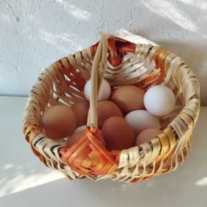 Cesta mimbre aros grande